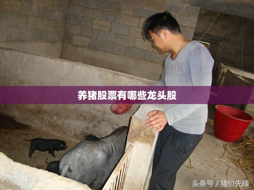 养猪股票有哪些龙头股