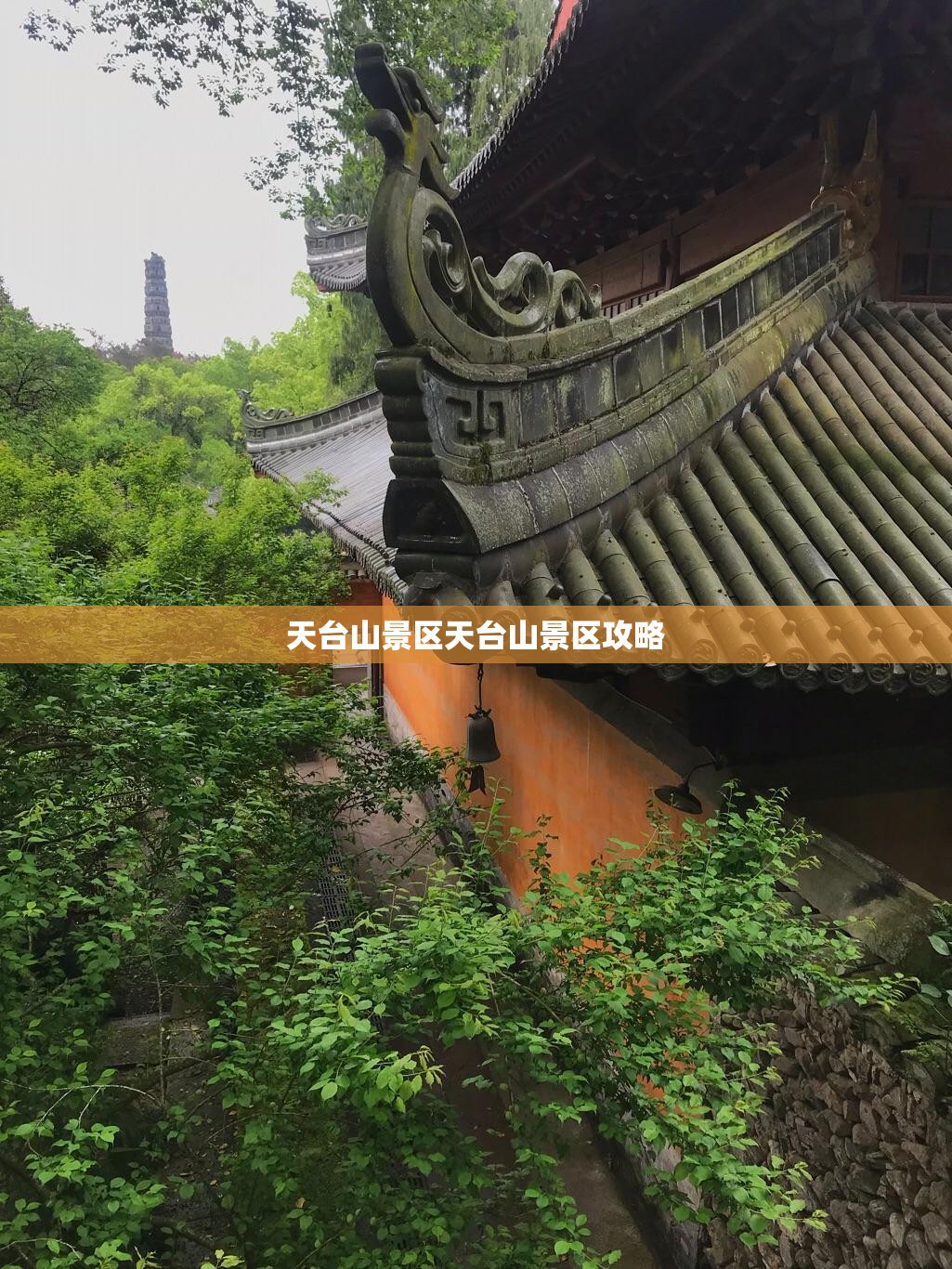 【最新发布台风/最新台风诮息】