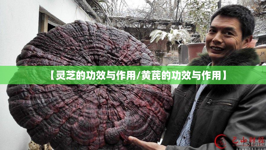 邵阳天气预报30天一个月,邵阳未来40天的天气预报