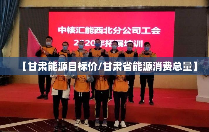 【甘肃能源目标价/甘肃省能源消费总量】