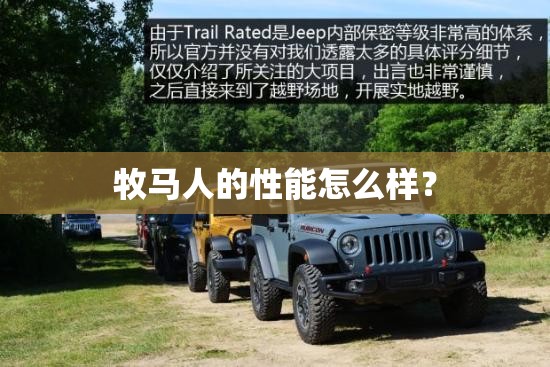 手持式测厚仪使用方法（手持式测厚仪使用方法图解）