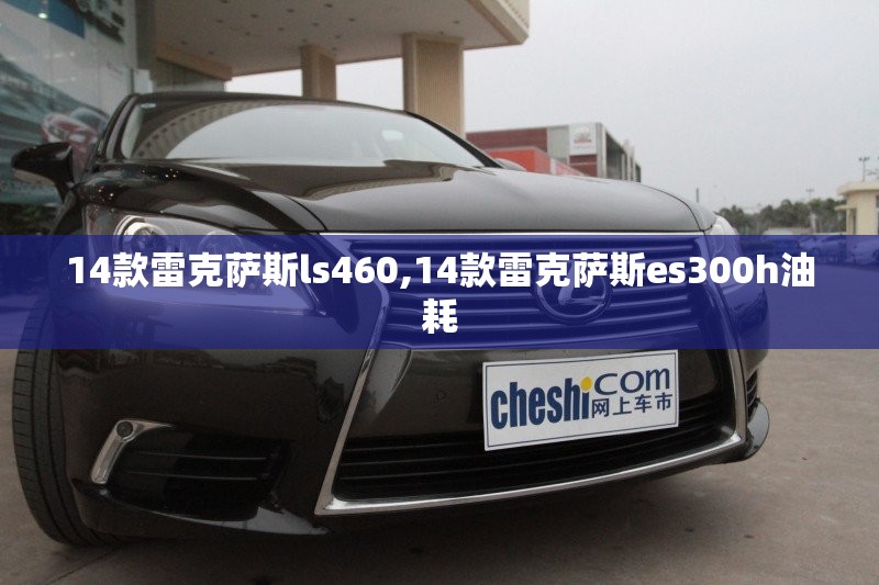手持式测厚仪使用方法（手持式测厚仪使用方法图解）