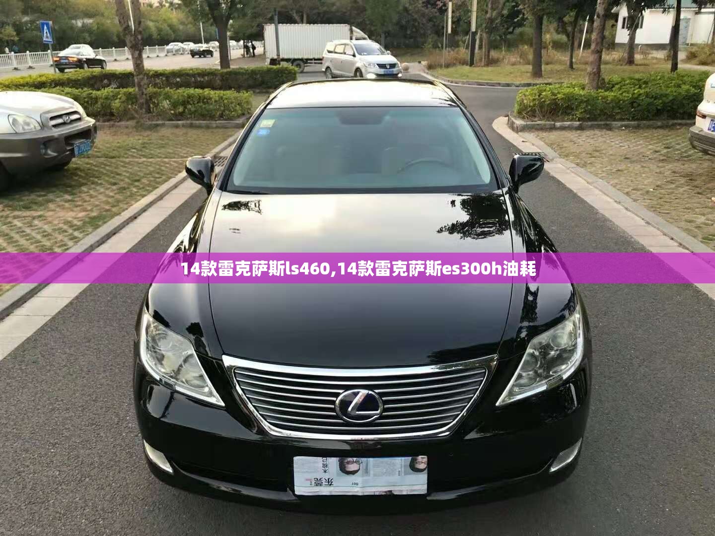 14款雷克萨斯ls460,14款雷克萨斯es300h油耗