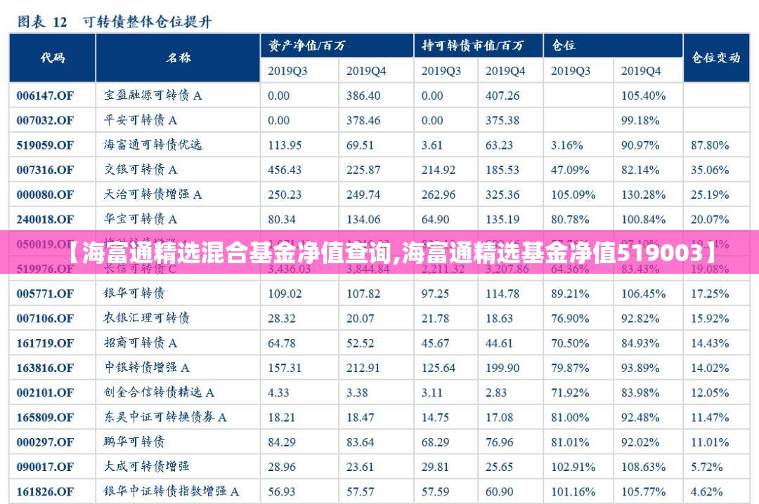 【海富通精选混合基金净值查询,海富通精选基金净值519003】