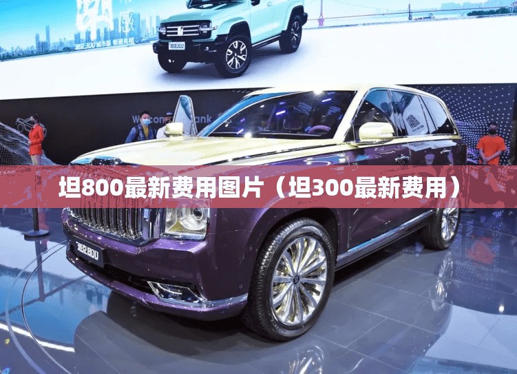 坦800最新费用图片（坦300最新费用）