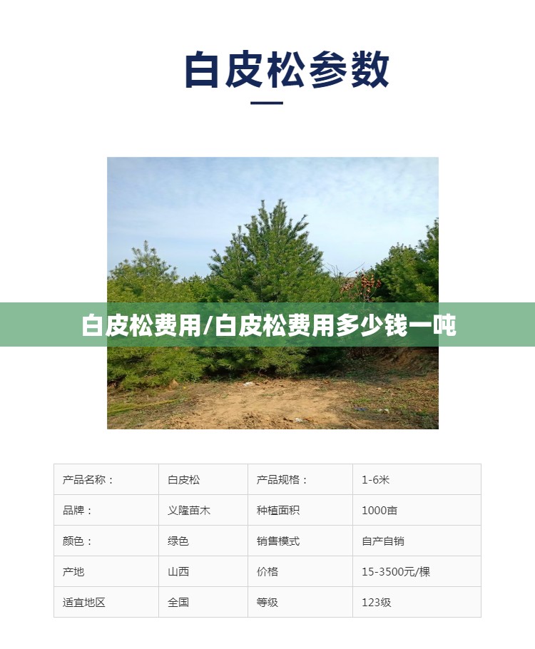白皮松费用/白皮松费用多少钱一吨