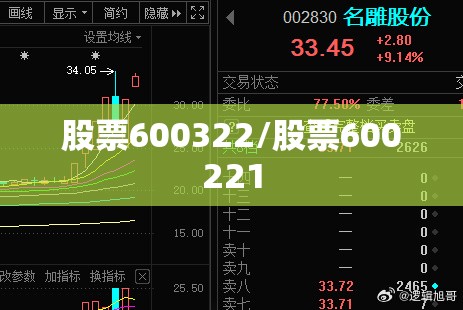 股票600322/股票600221