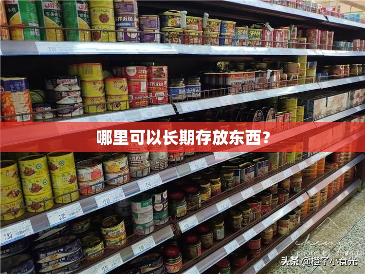 哪里可以长期存放东西? 哪里可以长期存放东西?