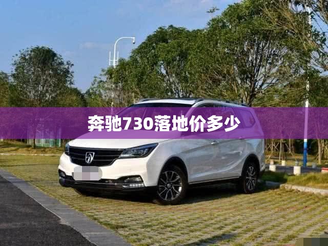 奔驰730落地价多少