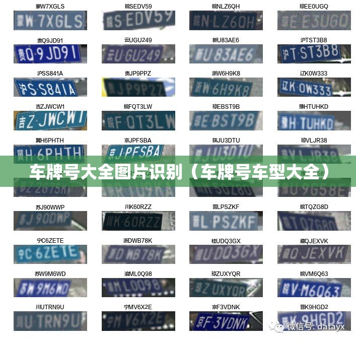 车牌号大全图片识别(车牌号车型大全) 车牌号大全图片识别(车牌号车型大全)