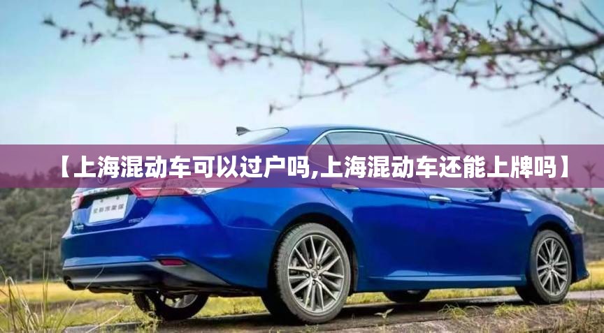 华为p60pro真实图片（华为p60 pro）