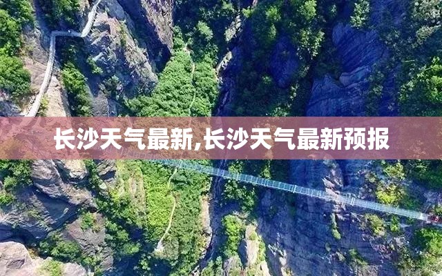 【中恒集团股份股票,中恒集团股份股票最新消息】
