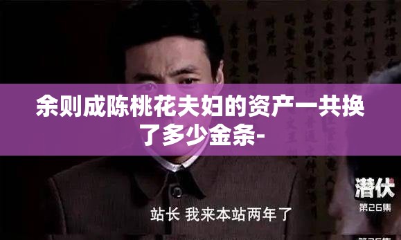 余则成陈桃花夫妇的资产一共换了多少金条-