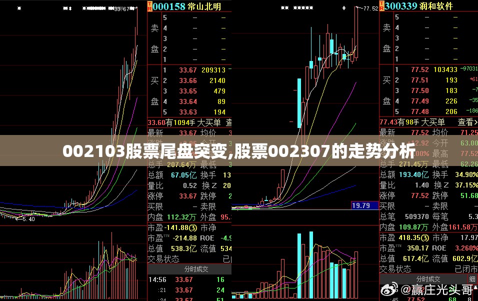 002103股票尾盘突变,股票002307的走势分析