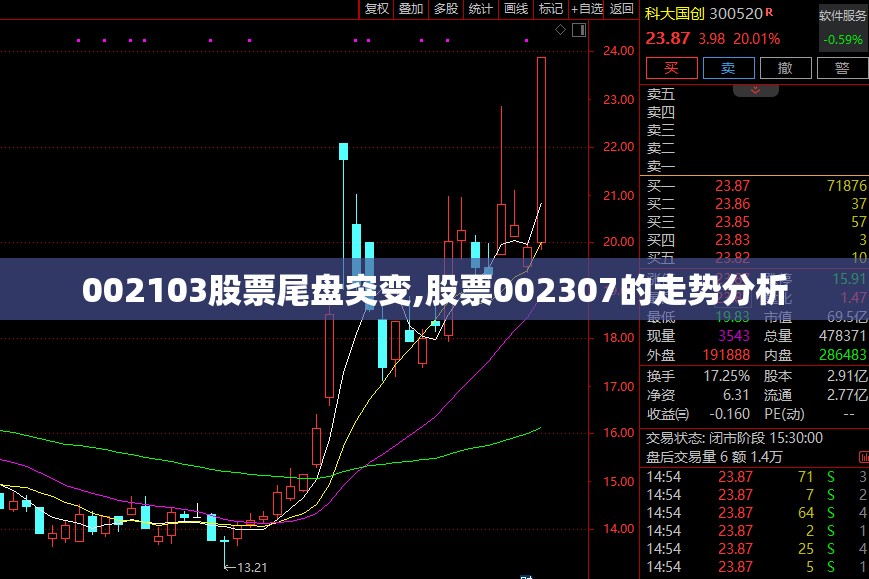 002103股票尾盘突变,股票002307的走势分析