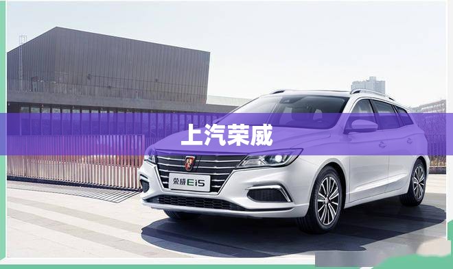 【国产塞纳商务车2023款费用/国产塞纳商务车2023款费用及图片】