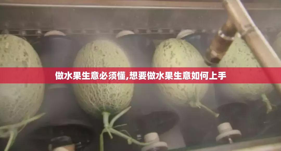 做水果生意必须懂,想要做水果生意如何上手