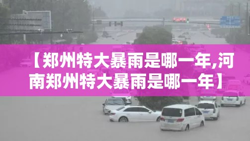 【郑州特大暴雨是哪一年,河南郑州特大暴雨是哪一年】
