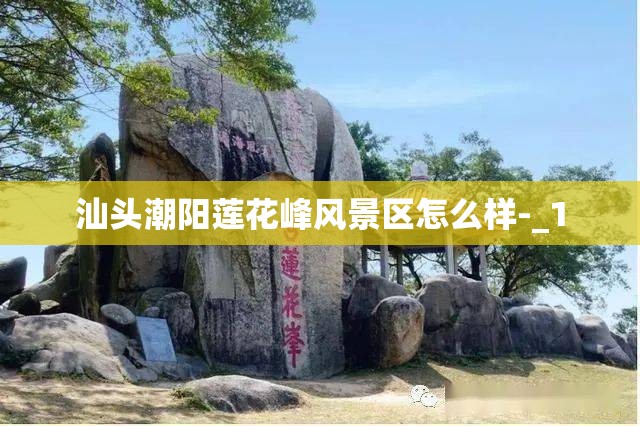 【博汇股份股票/300839博汇股份股吧】