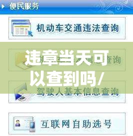 违章当天可以查到吗/违章当天能查询到吗