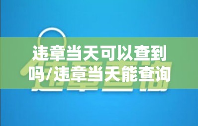 违章当天可以查到吗/违章当天能查询到吗