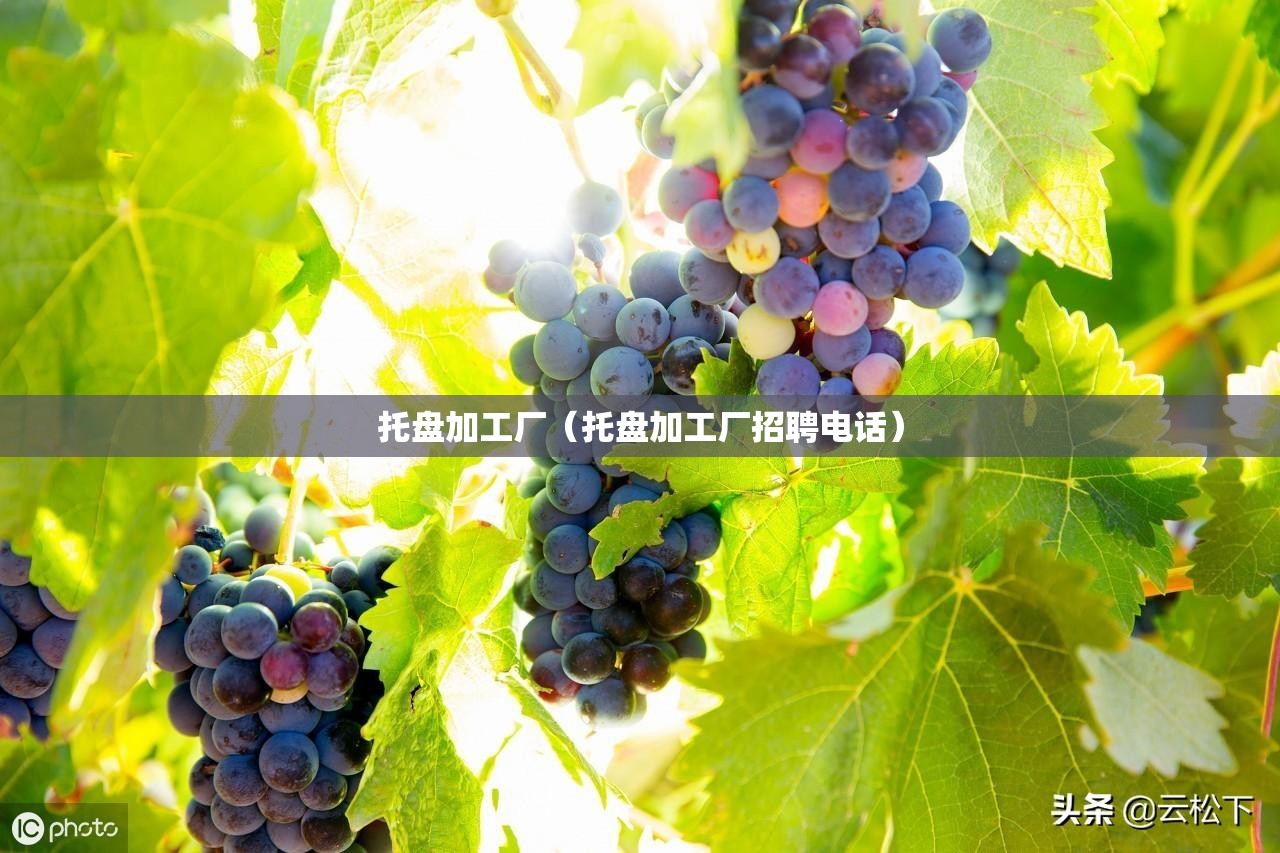 10年的二手标致307两厢车值得入手吗？