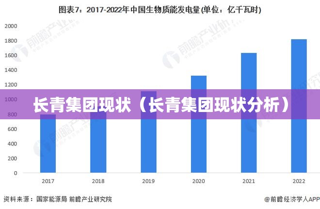 长青集团现状（长青集团现状分析）