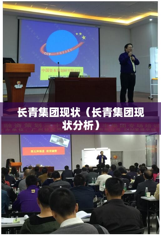 长青集团现状（长青集团现状分析）