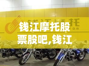 监控器有哪些类型/监控器有哪些类型英文名称