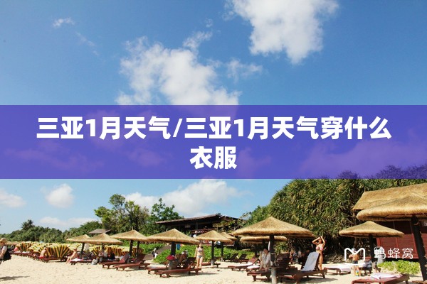 苹果手机哪个地震预警app是免费的-