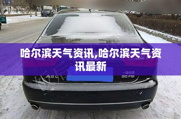 哈尔滨天气资讯,哈尔滨天气资讯最新