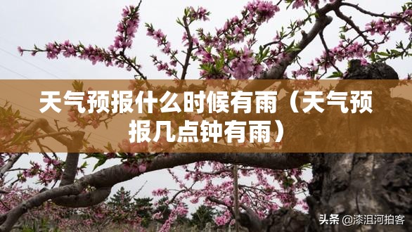 天气预报什么时候有雨（天气预报几点钟有雨）
