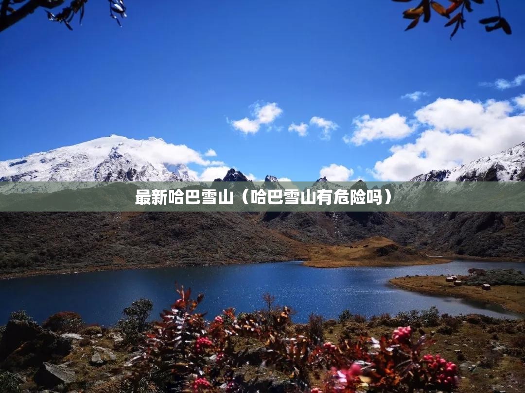 最新哈巴雪山（哈巴雪山有危险吗）