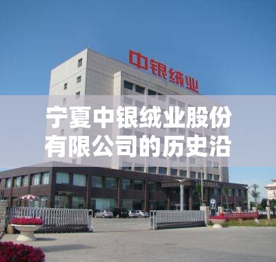宁夏中银绒业股份有限公司的历史沿革