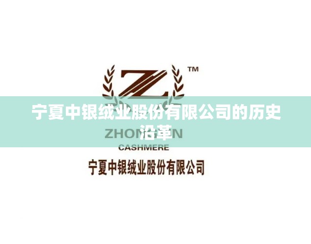 宁夏中银绒业股份有限公司的历史沿革