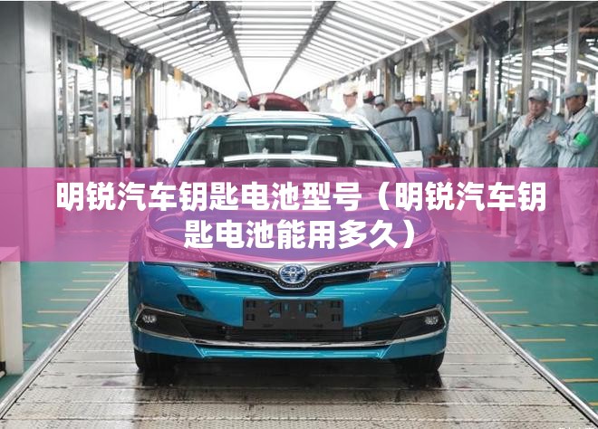 宁夏中银绒业股份有限公司的历史沿革