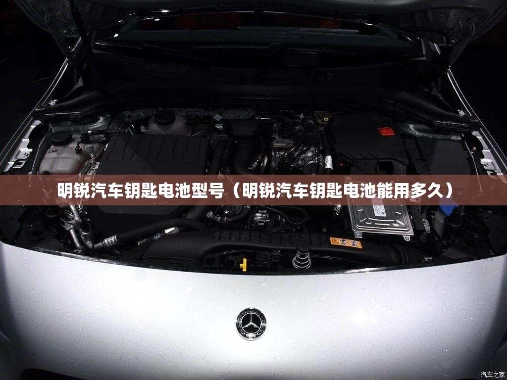 明锐汽车钥匙电池型号（明锐汽车钥匙电池能用多久）
