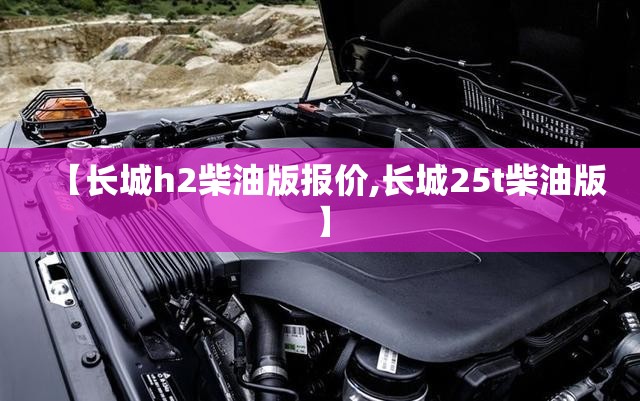 【长城h2柴油版报价,长城25t柴油版】
