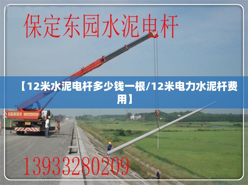 【12米水泥电杆多少钱一根/12米电力水泥杆费用】