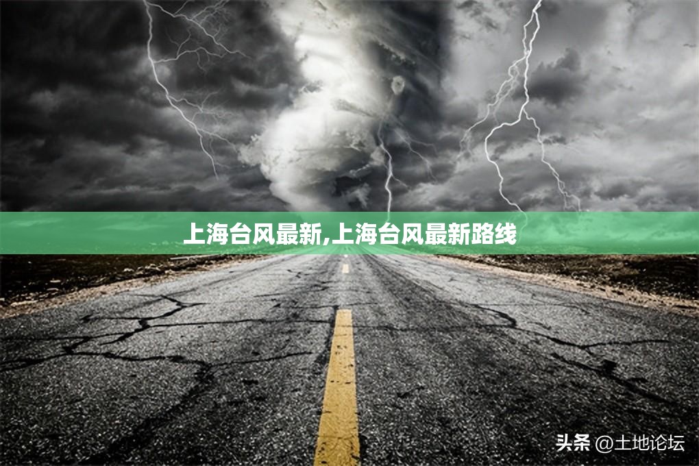 上海台风最新,上海台风最新路线