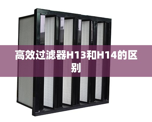 【女款高档小衫/女款小衫品牌排名榜】