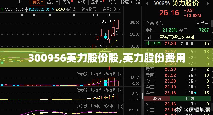300956英力股份股,英力股份费用