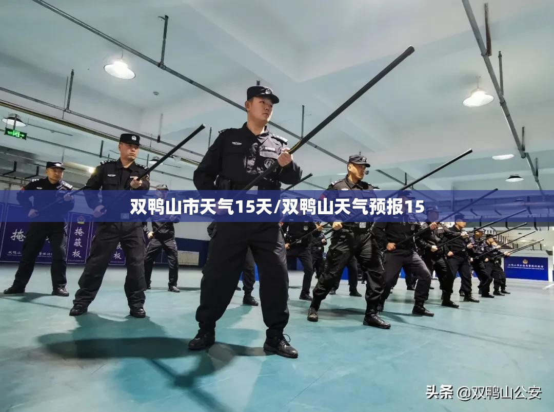 双鸭山市天气15天/双鸭山天气预报15