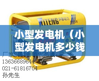 小型发电机（小型发电机多少钱一台220v）