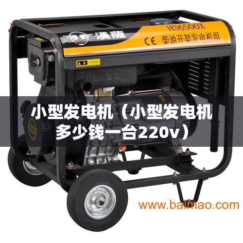 小型发电机（小型发电机多少钱一台220v）