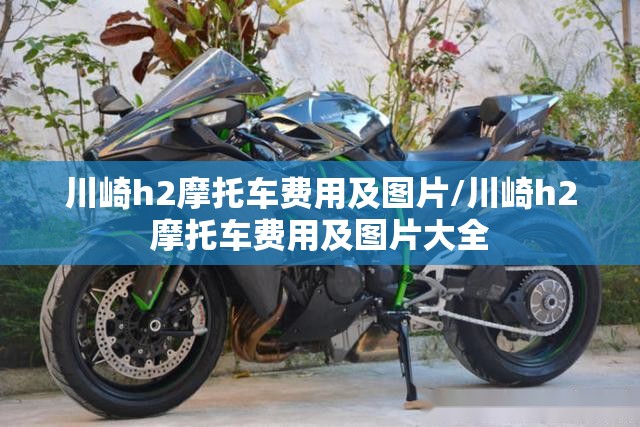 川崎h2摩托车费用及图片/川崎h2摩托车费用及图片大全 川崎h2摩托车费用及图片/川崎h2摩托车费用及图片大全