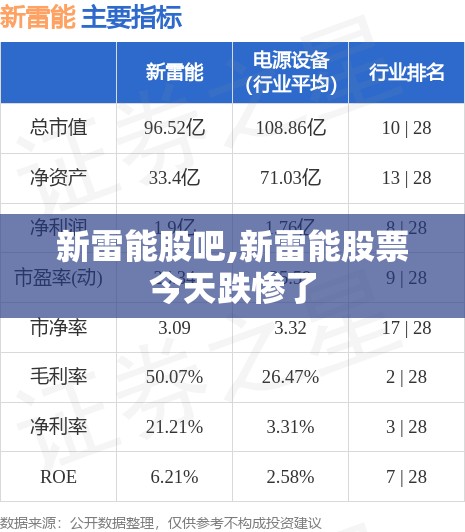 新雷能股吧,新雷能股票今天跌惨了