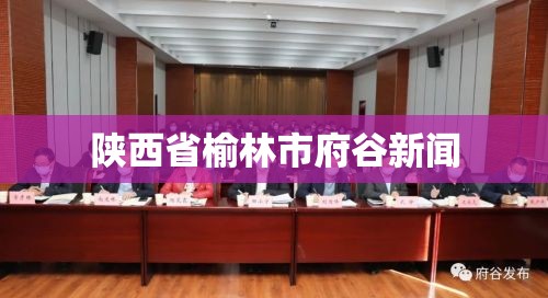 陕西省榆林市府谷新闻