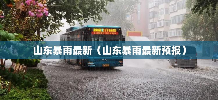 山东暴雨最新(山东暴雨最新预报) 山东暴雨最新(山东暴雨最新预报)