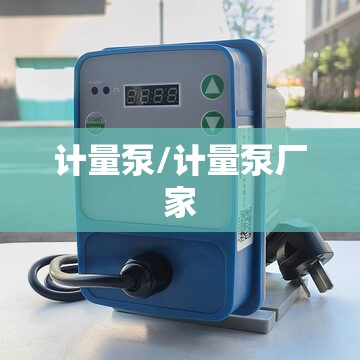 计量泵/计量泵厂家